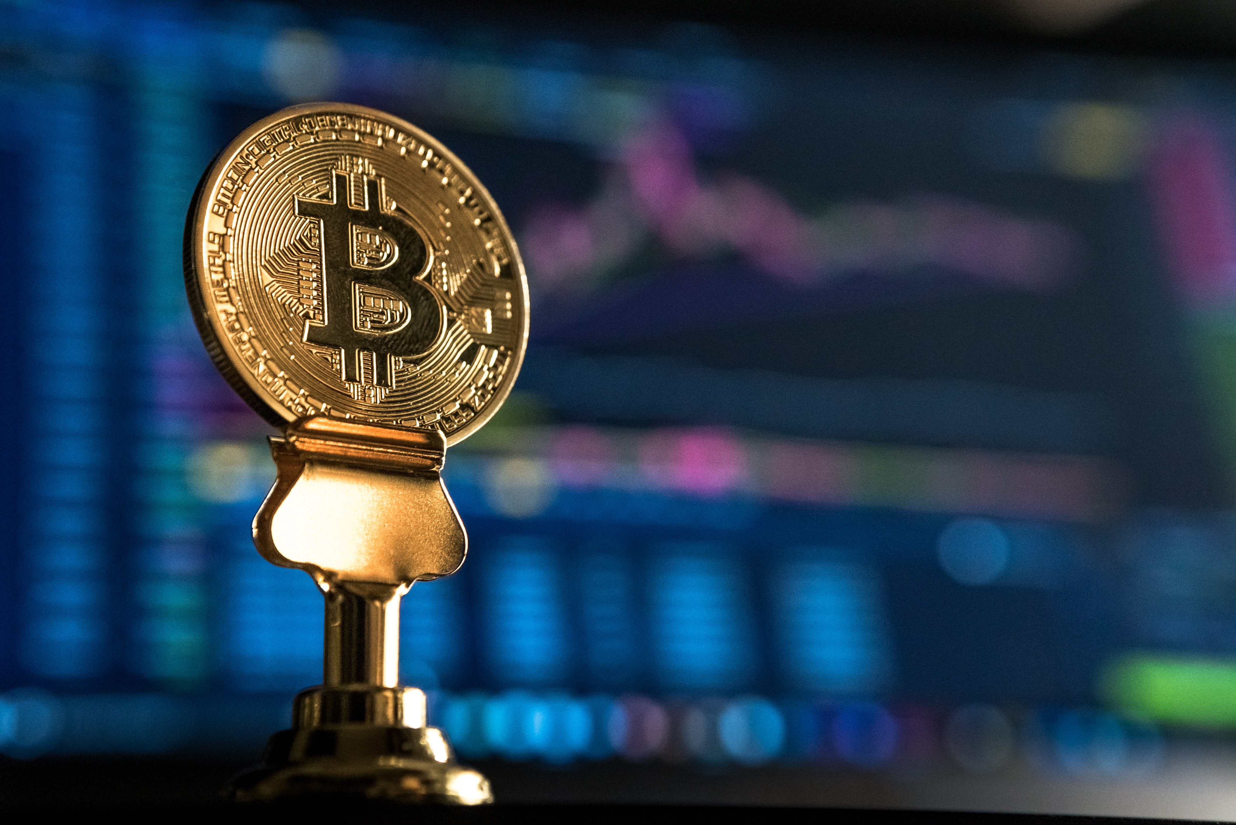 Merită să investești în bitcoin? ce procent investesc în criptomonedă