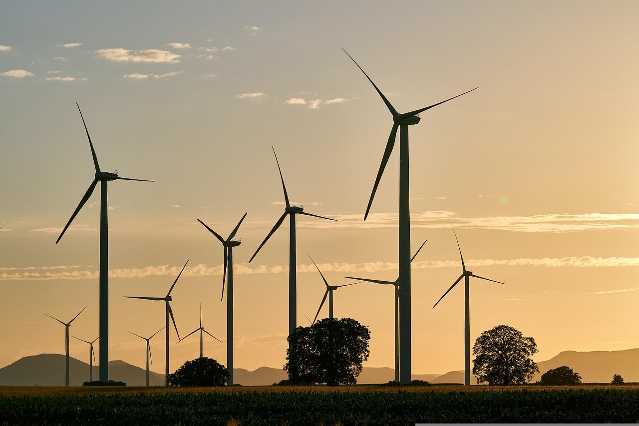 2022 ar putea fi un an record pentru energiile regenerabile