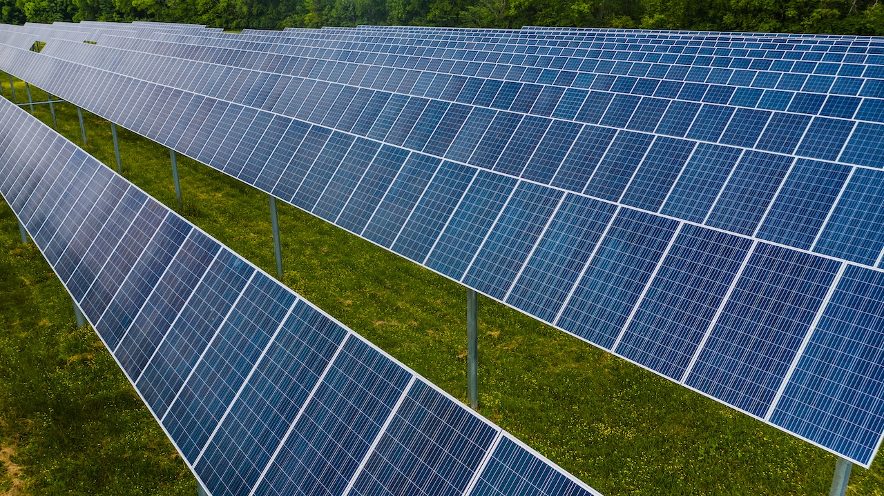 TED Agro și TED Farm își montează panouri fotovoltaice, prin care își vor reduce costurile cu energia cu 700.000 de euro