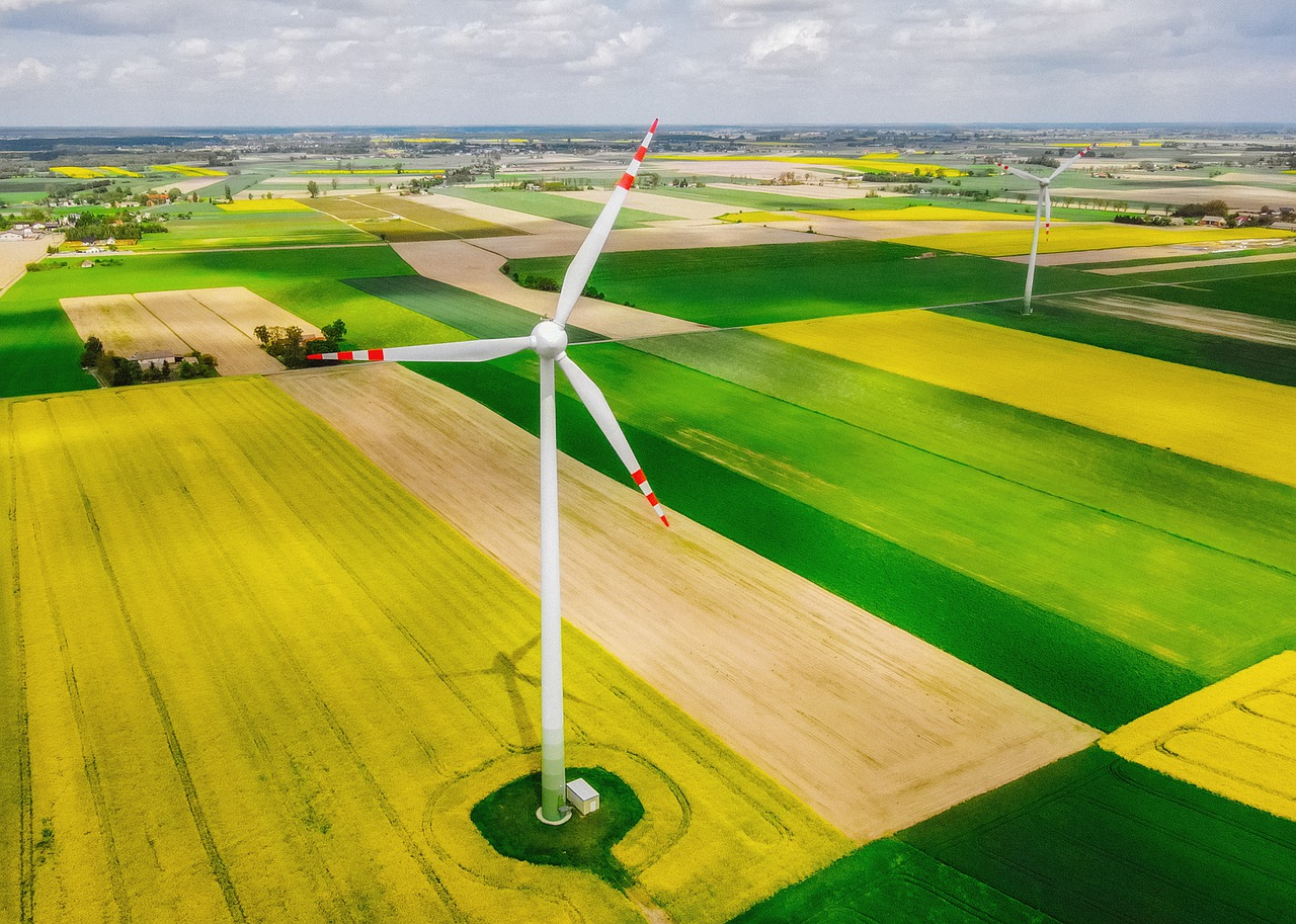 Premier Energy cumpără un parc eolian și devine un jucător major în sectorul energiei regenerabile