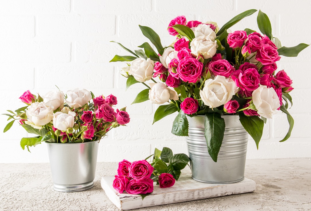 Florării online: afaceri de la care poți cumpăra online flori pe care să le trimiți, atât în București cât și la nivel național