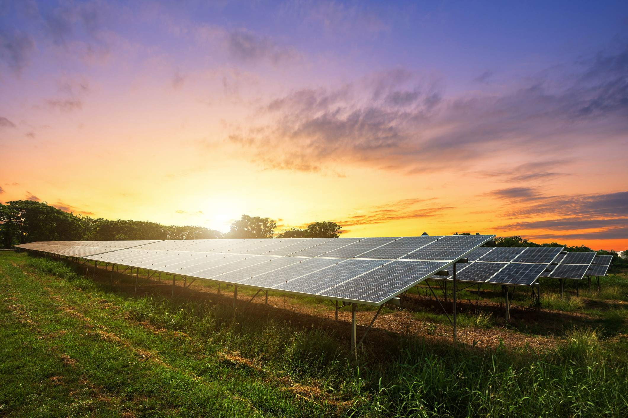 OMV Petrom vrea să devină un mare jucător și pe piața de energie solară