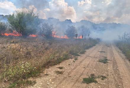 Incendiu puternic în Nordul Capitalei: peste 30 de hectare sunt afectate