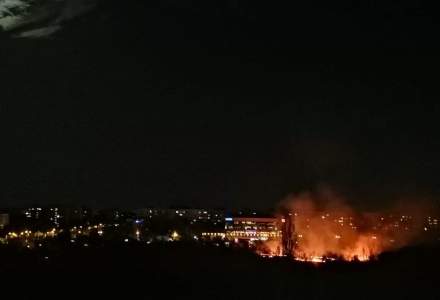Incendiul din IOR | Negoiță acuză mafia imobiliară: ”Dau foc ticăloşii aici. Vor să distrugă vegetaţia”
