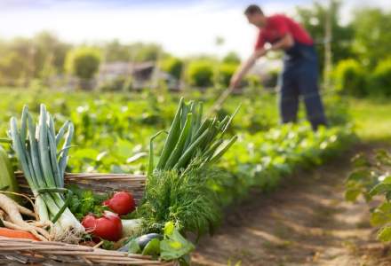 Ministrul Agriculturii promite să facă produsele românești competitive în supermarketuri