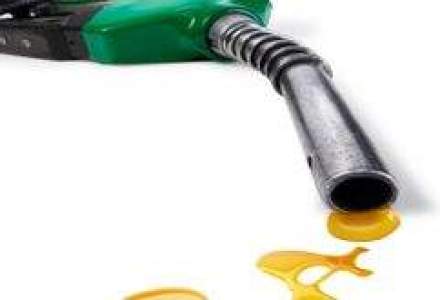 Concurenta vrea mai mult timp pentru verificarile privind preturile carburantilor