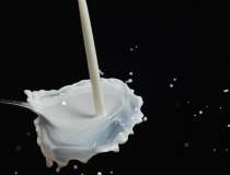 Productia interna de lapte a...