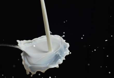 Productia interna de lapte a crescut cu 2,7% in luna mai, avansul importurilor s-a temperat la 20%