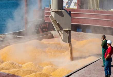 Statistică: Prin portul Constanța au intrat aproape 10 milioane de tone de cereale din Ucraina în 8 luni