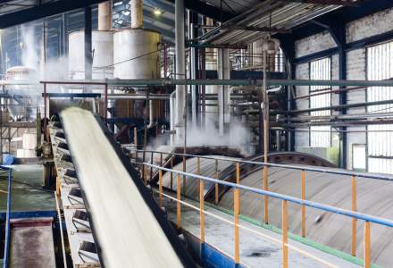 Doi investitori români au cumpărat fabrica de zahăr de la Luduș, pe care francezii o îngropaseră, și au reînceput producția