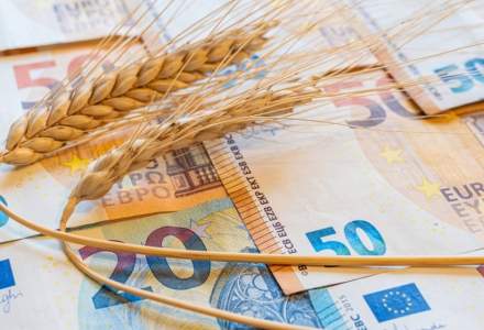 Egiptul a cumpărat 170.000 de tone de grâu din România și Bulgaria, deși Rusia a scăzut prețurile