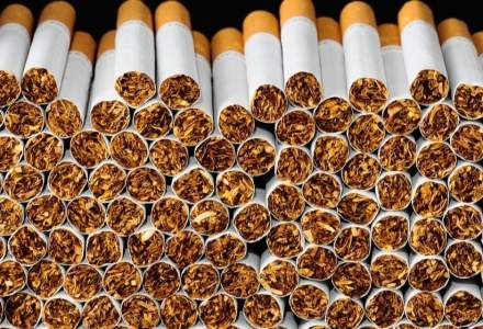 O captură de 4 tone de tutun a fost găsită de Garda de Coastă printre lăzi cu ardei capia