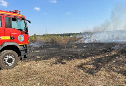 Incendiu de vegetație în Ilfov: 10 autospeciale ISU intervin pentru oprirea acestuia