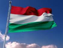 Ungaria vrea să cumpere gaze...