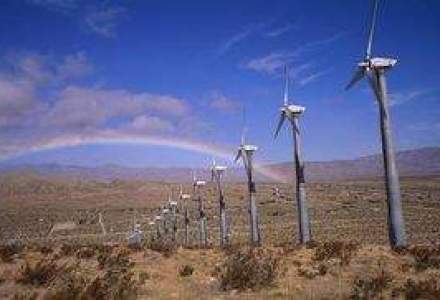 Constanta: Proiecte eoliene de 257 mil. lei