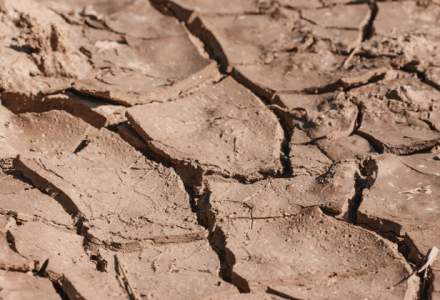 Semnal de alarma pentru agricultura: desertificarea ar putea sterge circa 7 milioane de hectare de teren
