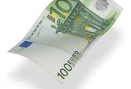 Consultantii in management fac 720 de euro/zi, la fel ca in 2009