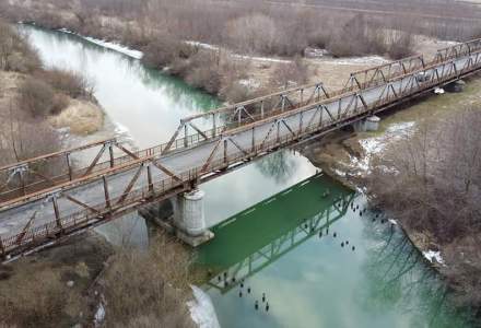 Autoritățile pretind că nu pot construi un pod peste Siret din cauza speciilor protejate de gândaci și broaște. De fapt, proiectul stă de peste 20 de ani