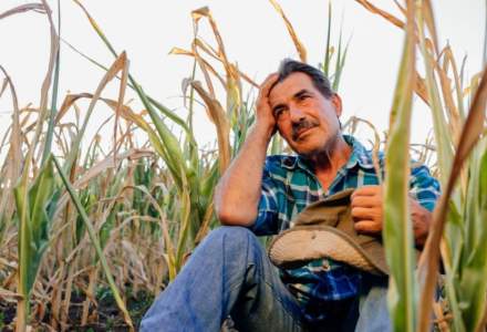 Paradoxul românesc: de la 1 noiembrie se măresc salariile în agricultură, dar angajații nu rămân cu niciun ban în plus