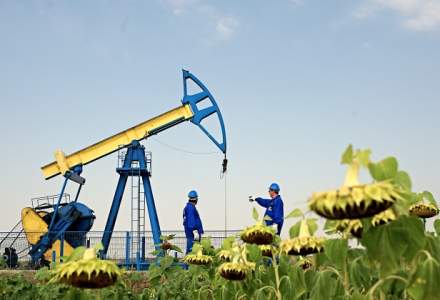 OMV Petrom continua un proiect cu Expert Petroleum, proprietarul fostului partener