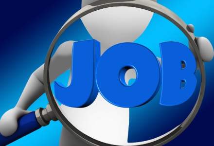 Toamna se numara job-urile: peste 36.000 de locuri de munca disponibile la nivel national