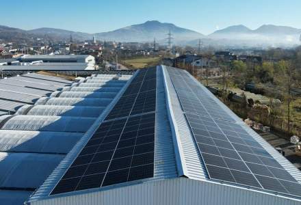 Primul proiect EaaS finanțat de o bancă din România: ProCredit dă 3,15 mil. euro pentru o centrală fotovoltaică în Bistrița