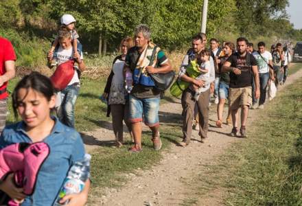 Arad: Douazeci de migranti afroasiatici, prinsi incercand sa treaca granita spre Ungaria prin camp