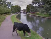 Google Street View ia in...