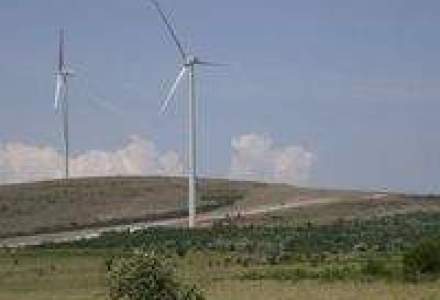 Enel incepe constructia unui parc eolian de 70 MW in Tulcea