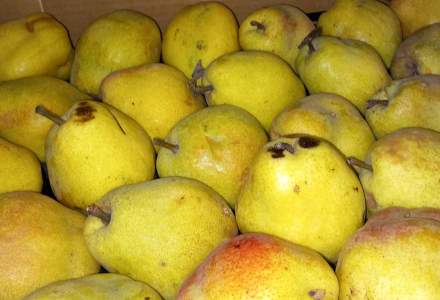 ANPC a amendat Mega Image fiindcă a etichetat ca românești fructele din import