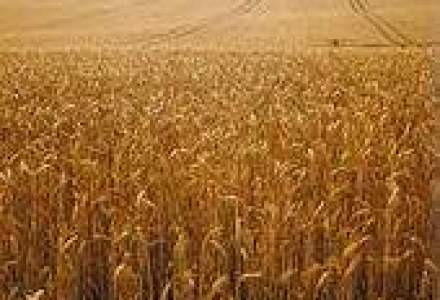 Canadienii de la Agrium au cumparat Cereal Toscana - Agroport