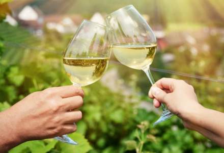 Patronat din industria vinului: Productia din 2016 va fi similara cu cea din anii anteriori