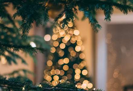 Cartierul Floreasca va avea propriul târg de Crăciun: Christmas Festival, un târg dedicat producătorilor locali și afacerilor din zonă