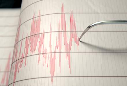 Un cutremur cu magnitudinea 3,6 s-a produs dimineaţă în Buzău