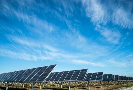 Vrancart își construiește un parc solar de 20,5 MW la Adjud, cu finanțare de la BRD
