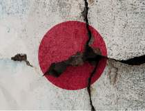 Cutremurul din Japonia:...
