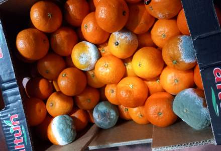 FOTO | ANPC controlează depozitele de fructe și legume: au fost oprite din comercializare 200 de tone