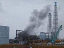 Cazul Fukushima: Cum s-au...
