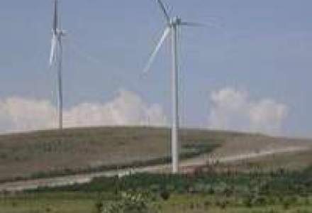 Credite de 115 mil. euro pentru doua parcuri eoliene din Romania