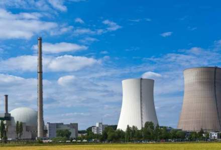Nuclearelectrica pregateste investitii de 287 milioane lei in 2017