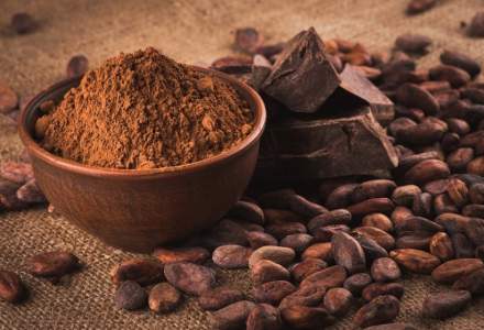 Boabele de cacao sunt mai valoroase decât cupru: o tonă de cacao se vinde cu 9.000 de dolari