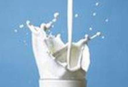 Un nou termen pentru a indeplini normele de calitate a laptelui