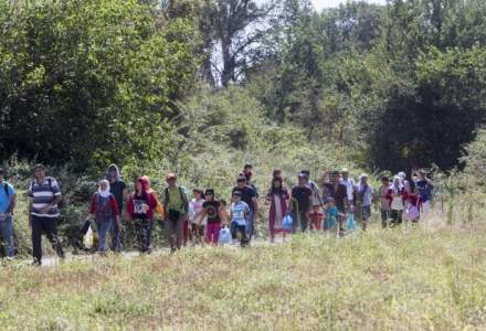 Arad: Cinci irakieni, solicitanti de azil in Romania, prinsi cand incercau sa iasa ilegal din tara