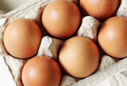 Analiză XTB: Preţul mediu al ouălor în România a scăzut cu peste 15% faţă de aceeaşi perioadă din 2023