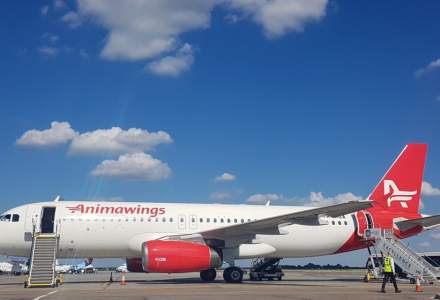 AnimaWings lansează un nou zbor București - Stockholm. Când se va putea zbura în Scandinavia