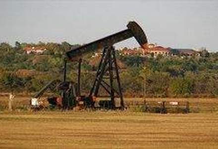 Compania petroliera NIS vrea sa se extinda in Romania