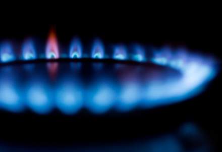 Ministrul Energiei spune ca gazele pentru populatie s-ar putea scumpi cu maximum 8,5% in acest an