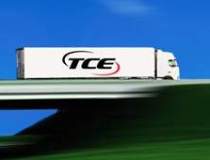 Activitatea TCE Holding a...
