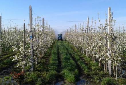 Afacere de milioane de euro in horticultura: ce planuri are un antreprenor din Vrancea