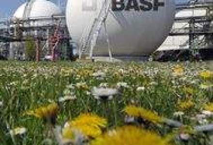 Vanzarile BASF au crescut cu 11,6% in T3